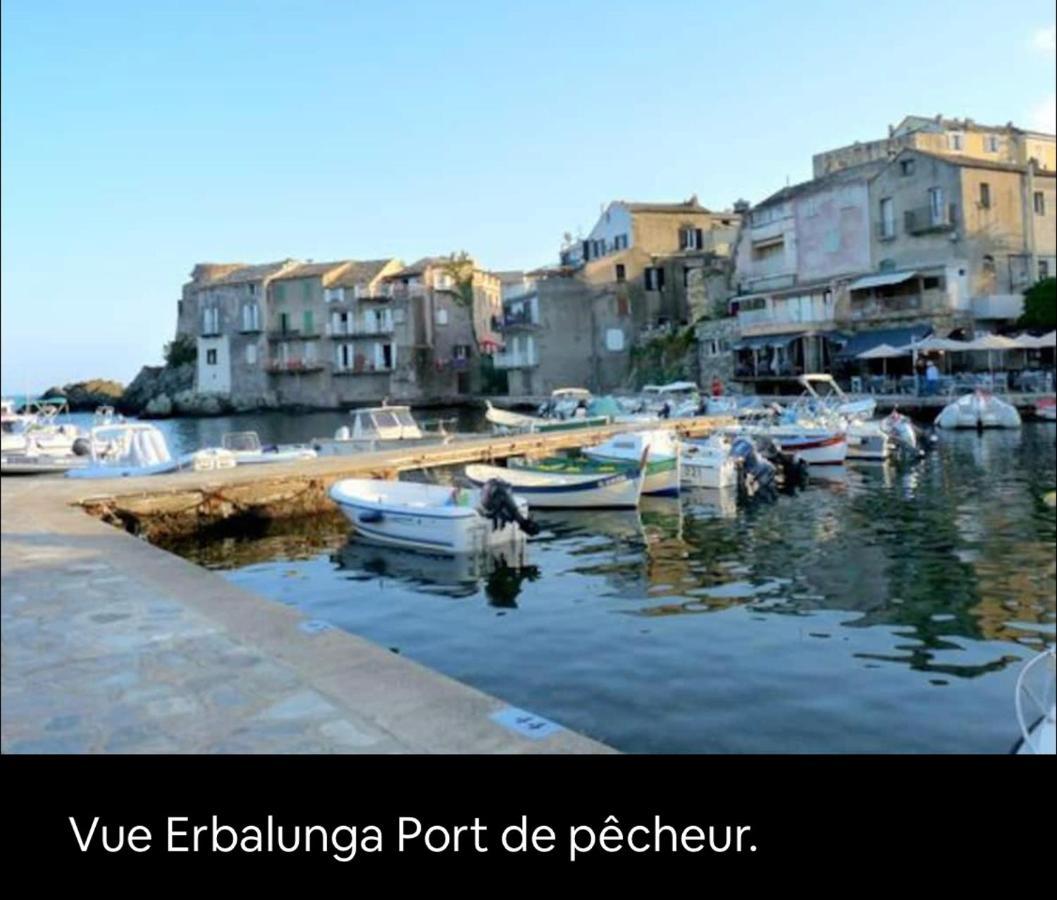 Magnifique Bergerie En Pierre * Brando